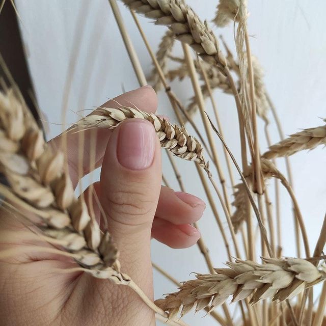 Гель-лак NUB 201 (ніжно-рожевий​, напівпрозорий), 8 мл