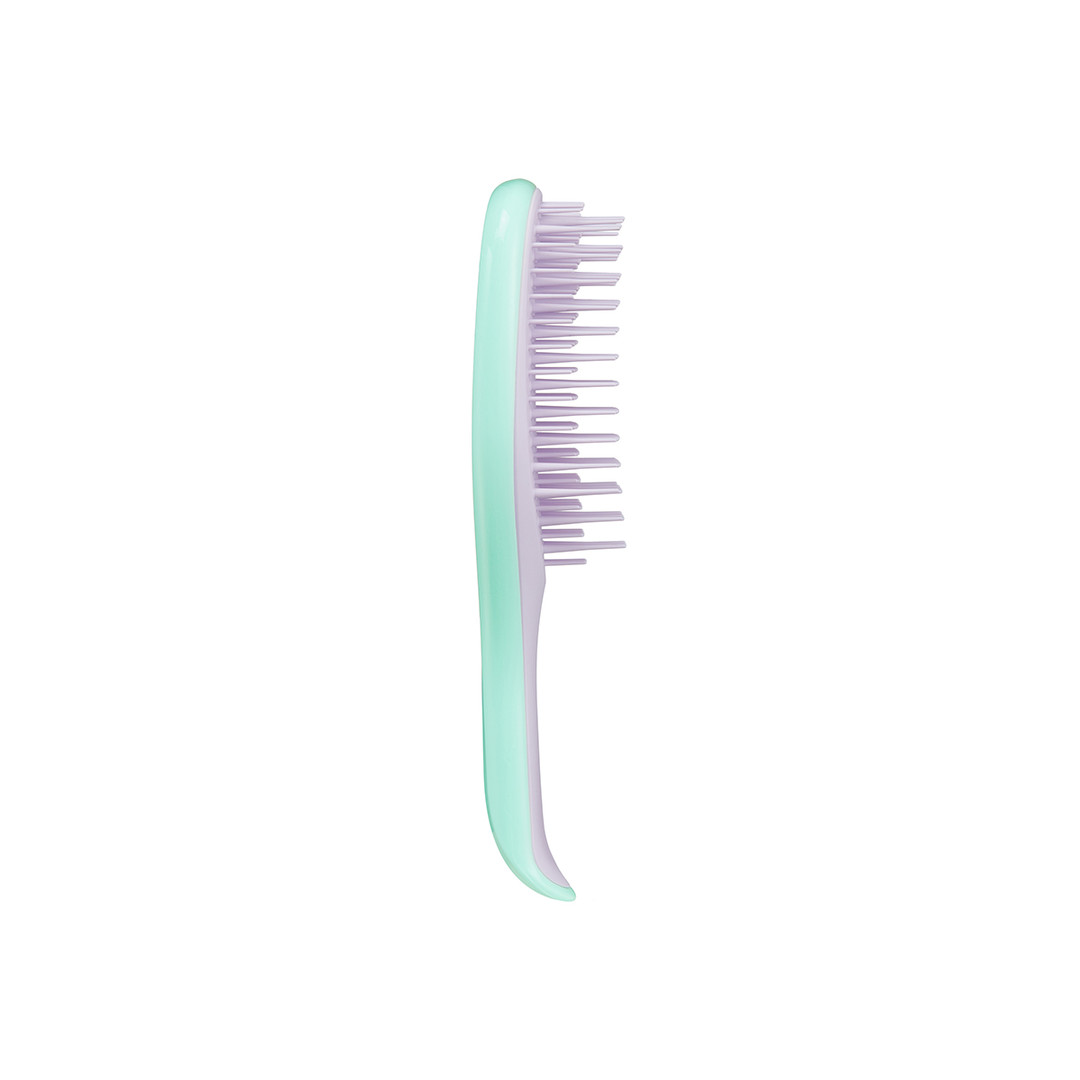 Tangle Teezer Hair Brush The Wet Detangler Mini Wisteria Leaf
