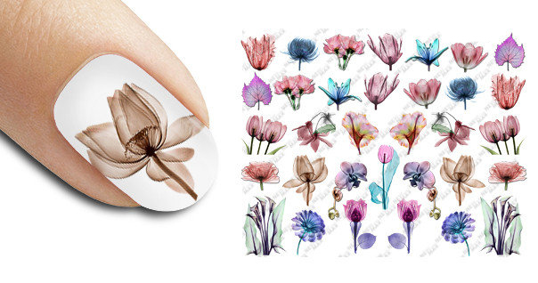 NewMax slider design SD-251 (flowers)