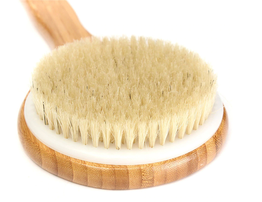 Natural bristle body brush