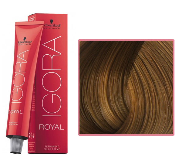 Professional hair color IGORA Royal 8-55 light blond golden extra, 60 ml