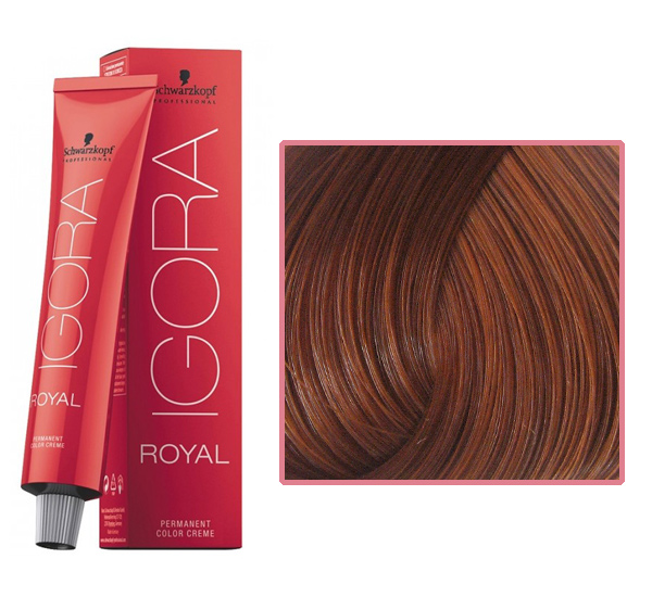 Professional hair dye IGORA Royal 6-77 dark blond copper extra, 60 ml