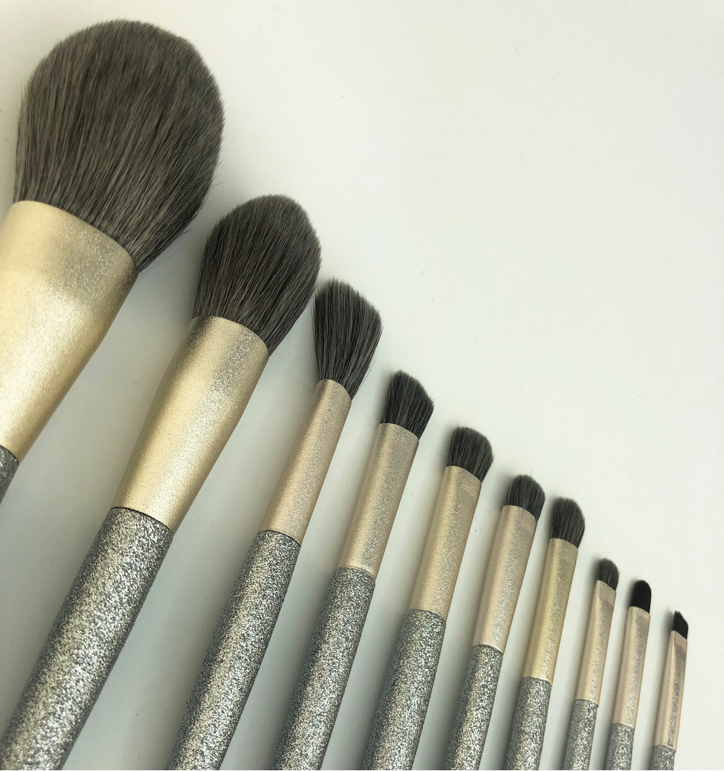 Makeup brush set 10 pcs, with silver sequins