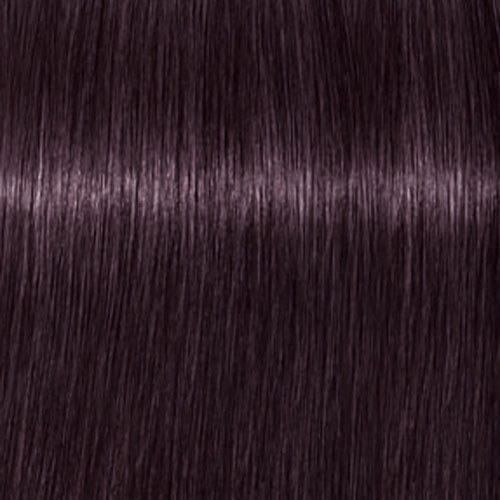 Professional hair color Igora Royal 3-19 dark brown sandre violet, 60 ml