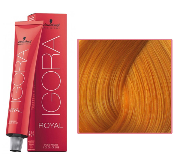IGORA Royal professional hair color 0-55 golden mikston, 60 ml