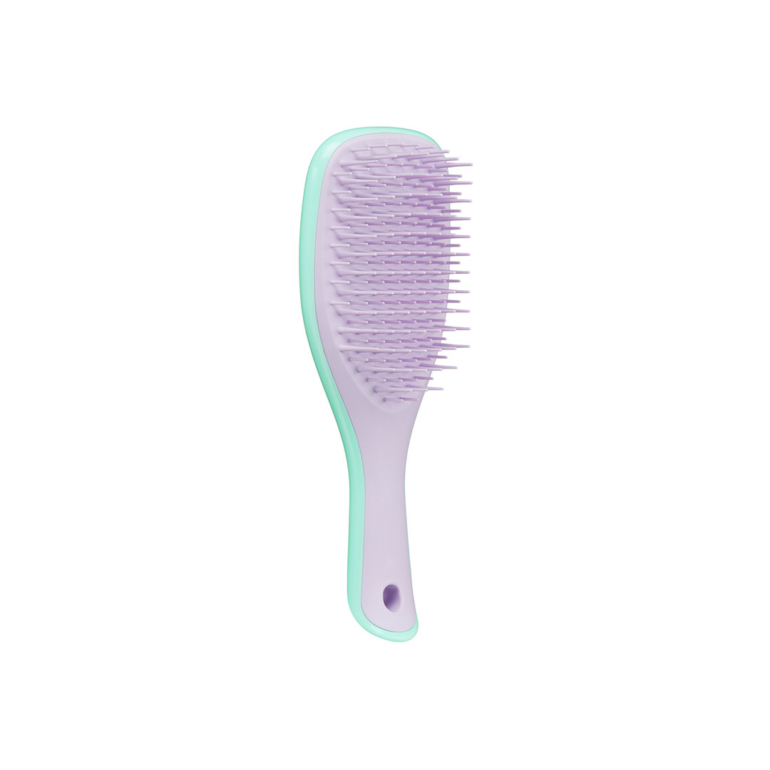 Tangle Teezer Hair Brush The Wet Detangler Mini Wisteria Leaf