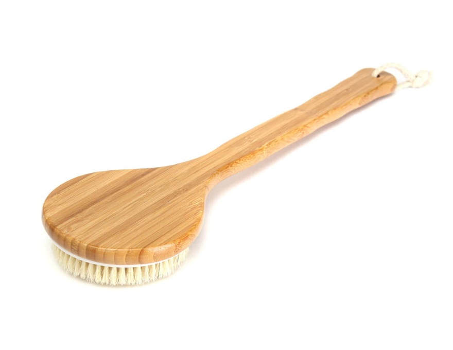 Natural bristle body brush