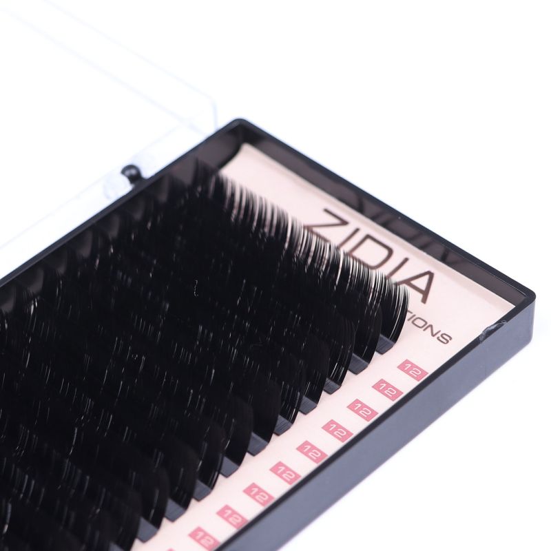 ZIDIA Premium Lash Extensions - ресницы для наращивания (20 лент) L0,1 х 12 мм