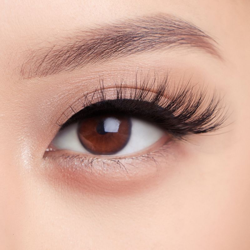ZIDIA Lashes, style Lash Goals - reusable false eyelashes False Mink