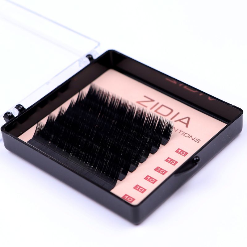 Zidia Premium Lash Extentions 6 лент - L0,1 х 10 mm