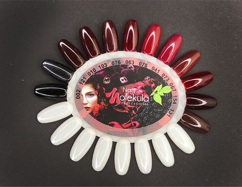 Gel polish Molekula No. 010 (burgundy-plum, enamel), 6 ml