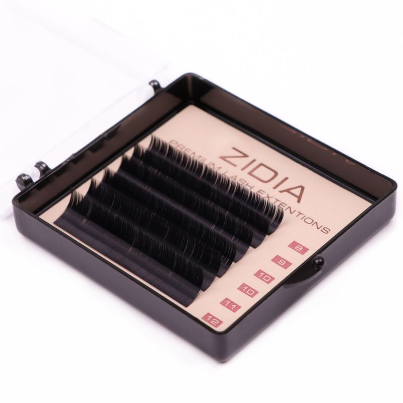 ZIDIA Premium Lash Extensions - ресницы для наращивания (6 лент) C0,07 х MINI MIX (8-12 мм)