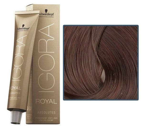 IGORA Royal Absolutes 5-80 light brown red natural