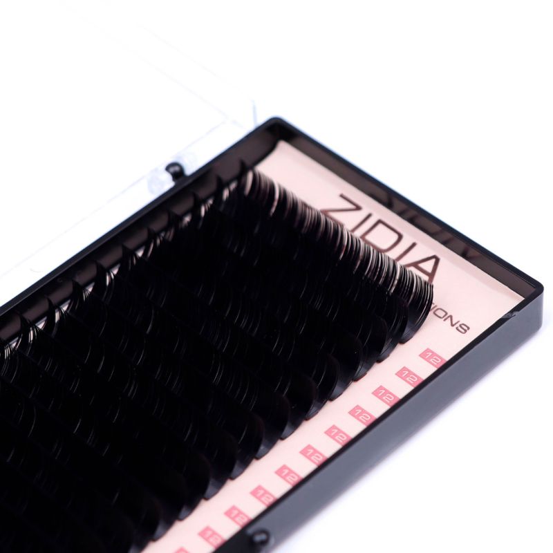 ZIDIA Premium Lash Extensions - ресницы для наращивания (20 лент) C0,1 х 12 мм