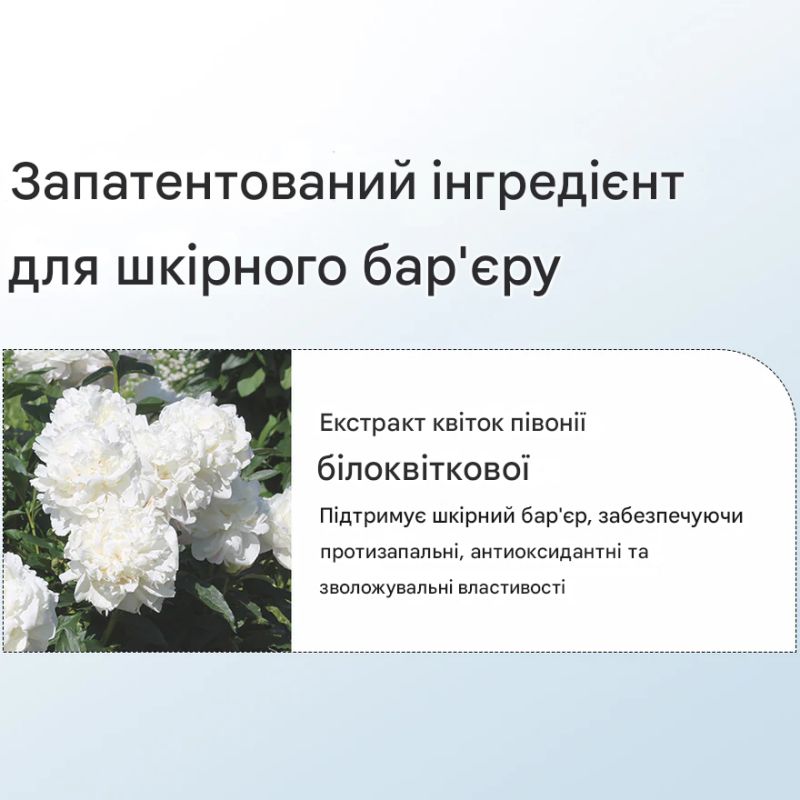 Dr.Althea Pro Lab Крем заспокійливий бар'єрний для обличчя з керамідами 147 Barrier Cream, 50 мл
