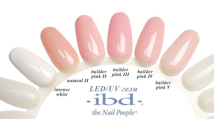 IBD LED / UV Builder Gel Clear - transparent design gel (56 g) buy