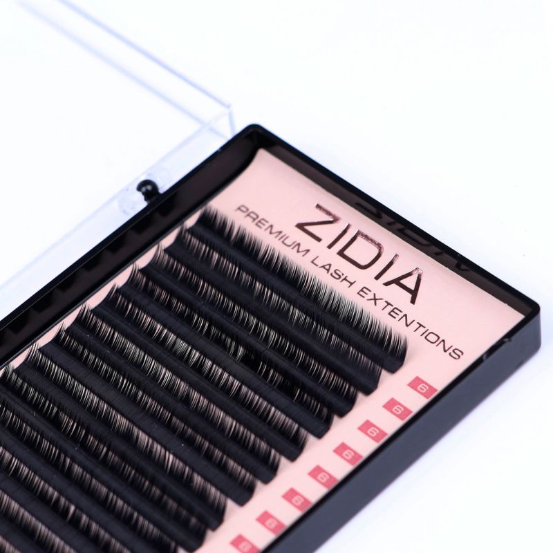 Zidia Premium Lash Extentions 20 лент - L0,07 х 6 mm