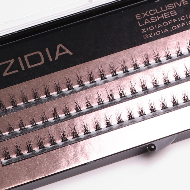 ZIDIA Cluster lashes Вії-пучки 20D Flame Series C 0,10 (3 стрічки, розмір 6 мм)