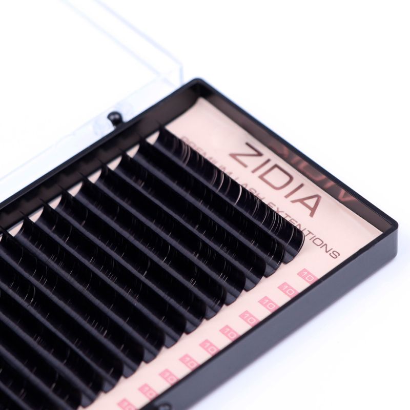 Zidia Premium Lash Extentions 20 лент - D0,07 х 10 mm