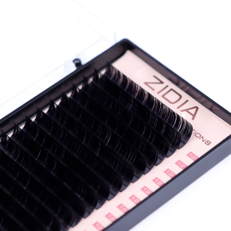 ZIDIA Premium Lash Extensions - ресницы для наращивания (20 лент) D0,07 х 12 мм