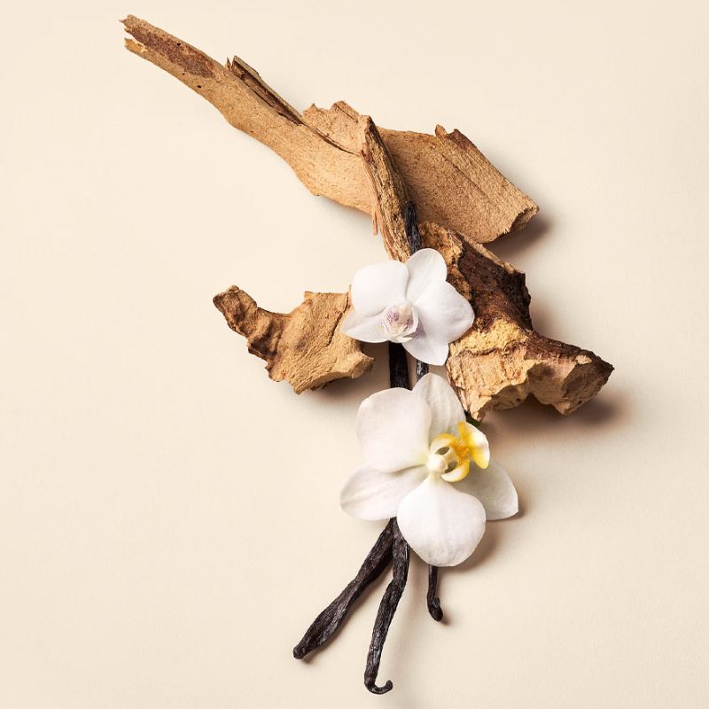Victoria’s Secret Лосьон для тела Bare Vanilla Vacation, 236 мл