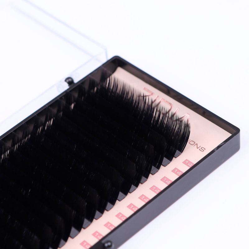 Zidia Premium Lash Extentions 20 лент - L0,07 х 14 mm