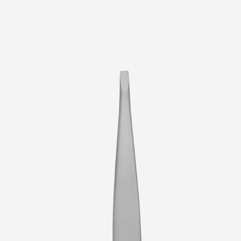 Staleks - BEAUTY & CARE 10 TYPE 2 eyebrow tweezers, narrow straight edges