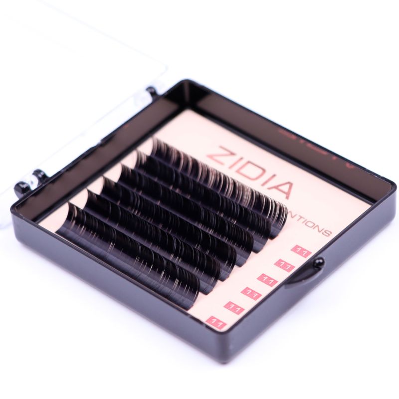 Zidia Premium Lash Extentions 6 лент - D0,1 х 11 mm