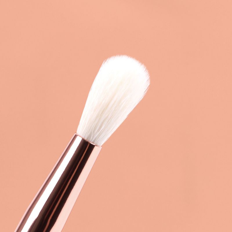 ZIDIA набор кистей для макияжа "Makeup Brush Set Everyday" в косметичке, 12 шт.