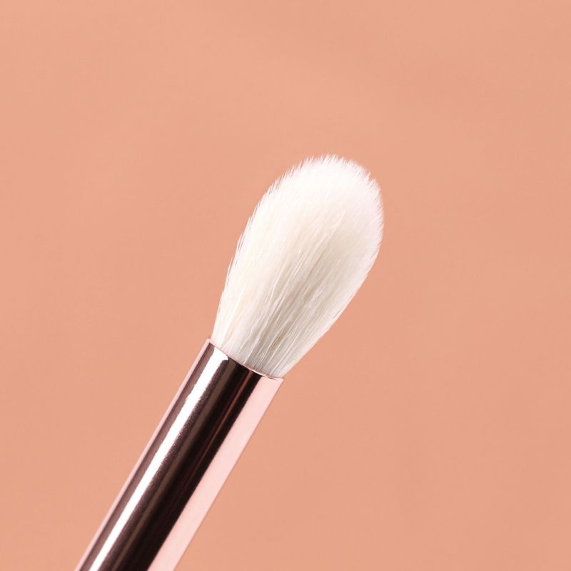ZIDIA набор кистей для макияжа "Makeup Brush Set Everyday" в косметичке, 12 шт.