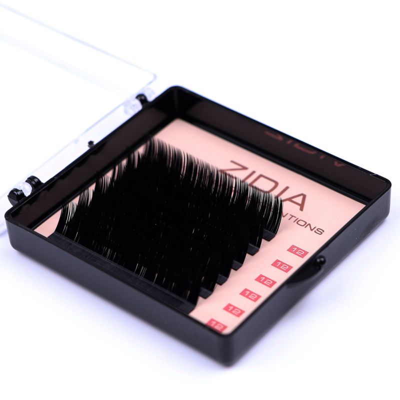 Zidia Premium Lash Extentions 6 лент - L0,1 х 12 mm