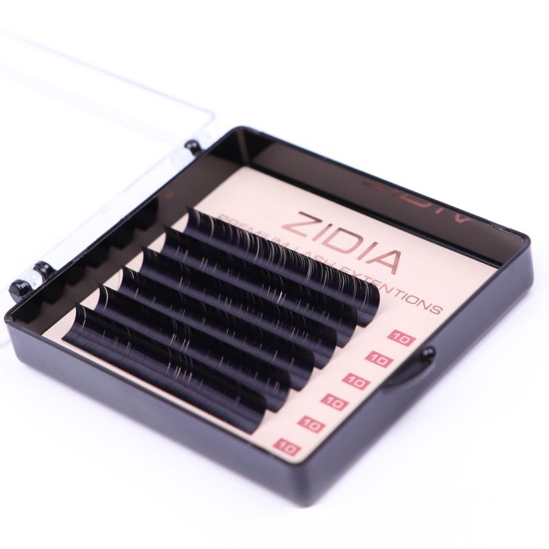Zidia Premium Lash Extentions 6 лент - D0,07 х 10 mm
