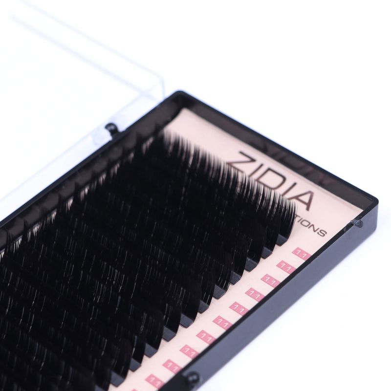 ZIDIA Premium Lash Extensions - ресницы для наращивания (20 лент) L0,1 х 11 мм