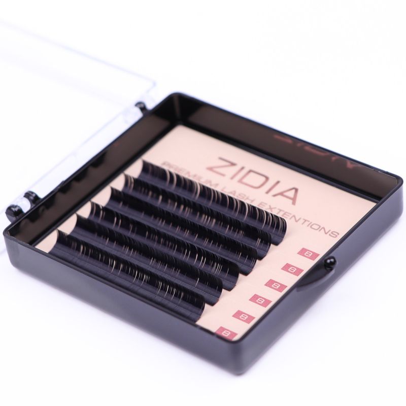 Zidia Premium Lash Extentions 6 лент - D0,07 х 8 mm