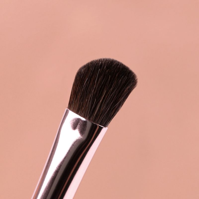 ZIDIA набор кистей для макияжа глаз "Set Brushes Eyes Makeup" в косметичке, 12 шт.