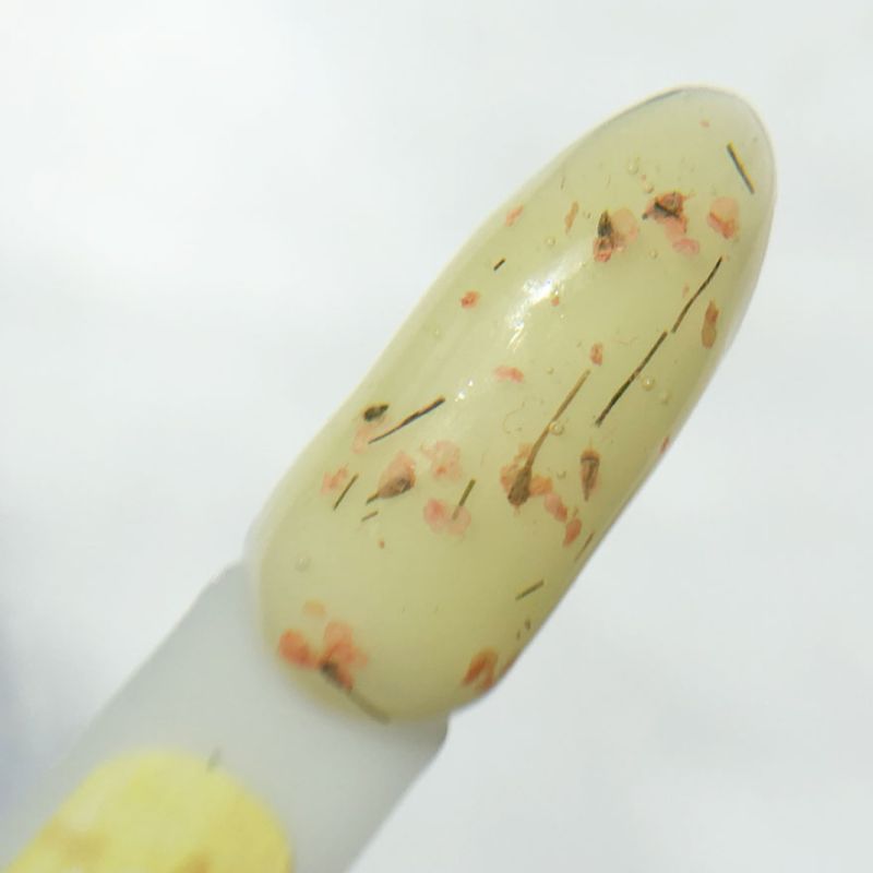 Valeri Гель для ногтей Flower Garden Gel 05, 5 мл