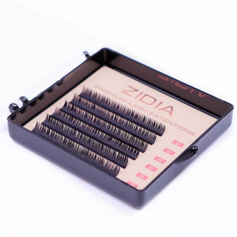 Zidia Premium Lash Extentions 6 лент - D0,1 х 6 mm
