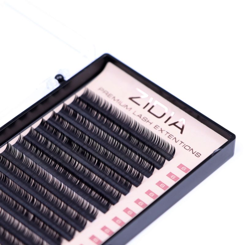 ZIDIA Premium Lash Extensions - ресницы для наращивания (20 лент) D0,1 х 6 мм