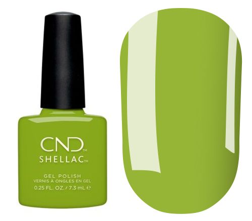 Autumn Addict - Crisp Green