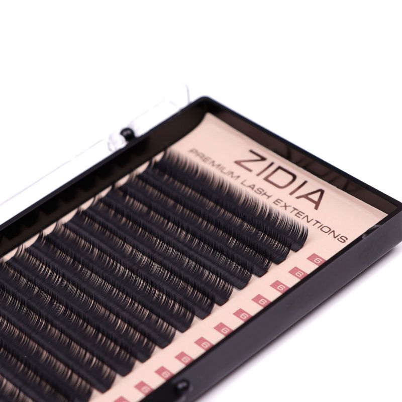 ZIDIA Premium Lash Extensions - ресницы для наращивания (20 лент) C0,1 х 6 мм