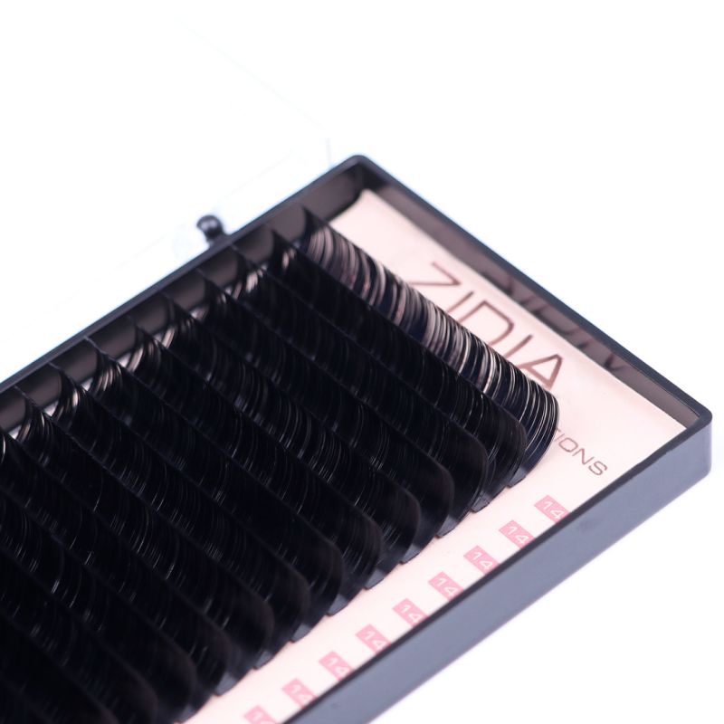 Zidia Premium Lash Extentions 20 лент - D0,07 х 14 mm