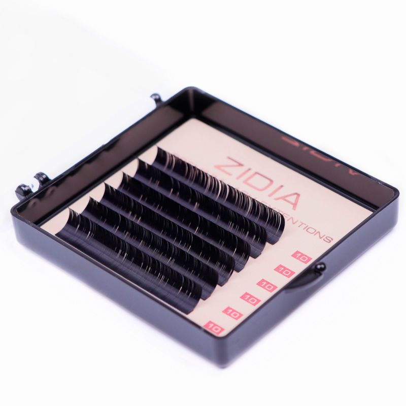 Zidia Premium Lash Extentions 6 лент - D0,1 х 10 mm