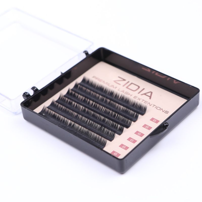 Zidia Premium Lash Extentions 6 лент - L0,1 х 6 mm