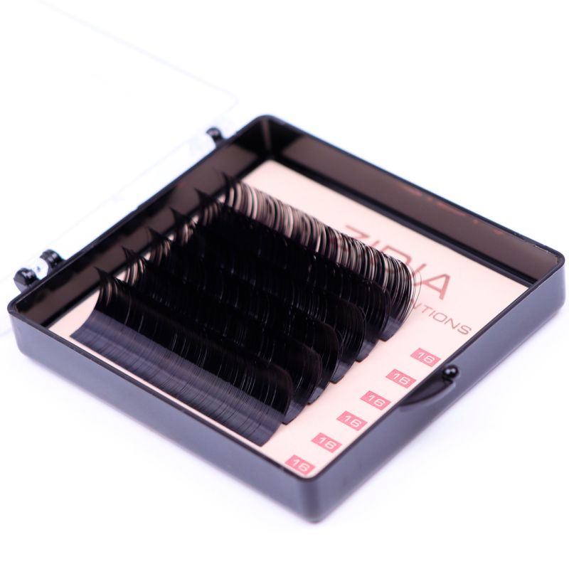 Zidia Premium Lash Extentions 6 лент - D0,1 х 16 mm