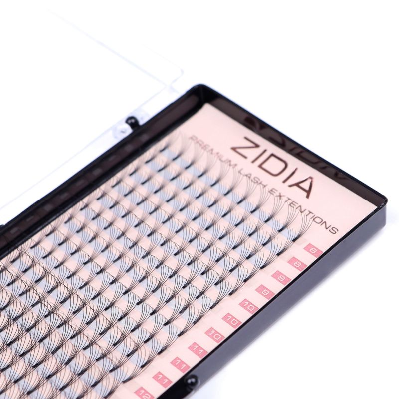 Zidia Premium Lash Extentions Premade Fans 5D 20 лент - C0,1 х D0,1 MIX