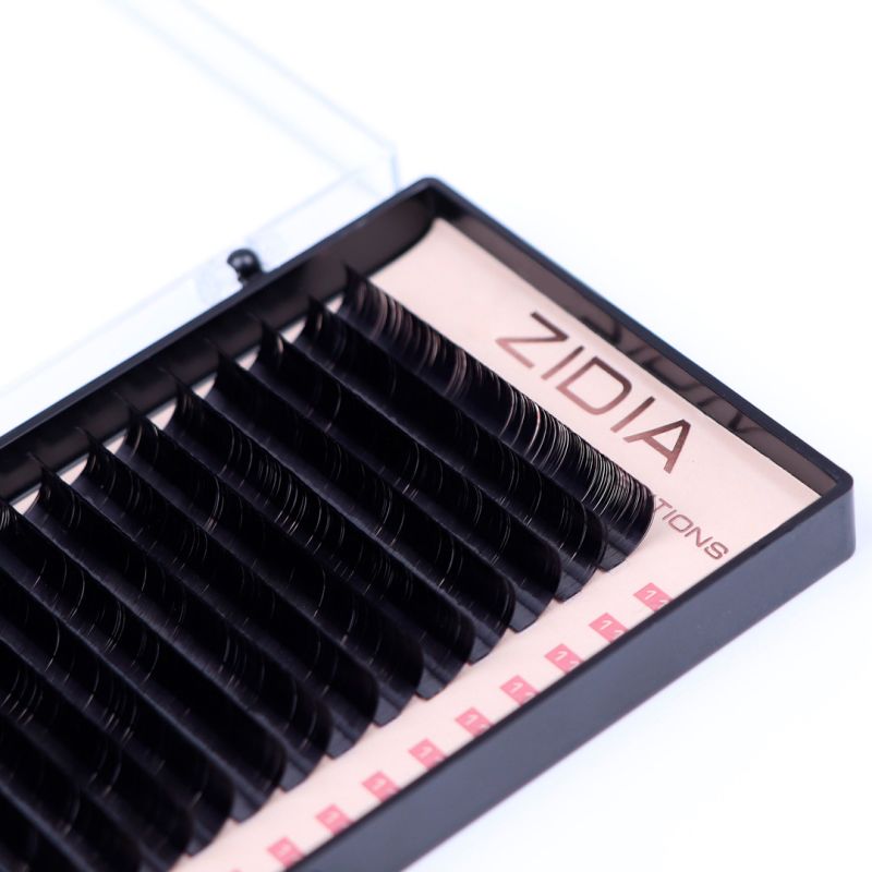 Zidia Premium Lash Extentions 20 лент - D0,07 х 11 mm