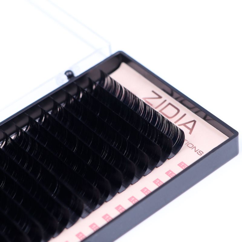 ZIDIA Premium Lash Extensions - ресницы для наращивания (20 лент) D0,07 х 13 мм