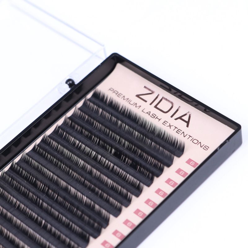 ZIDIA Premium Lash Extensions - ресницы для наращивания (20 лент) L0,1 х 6 мм