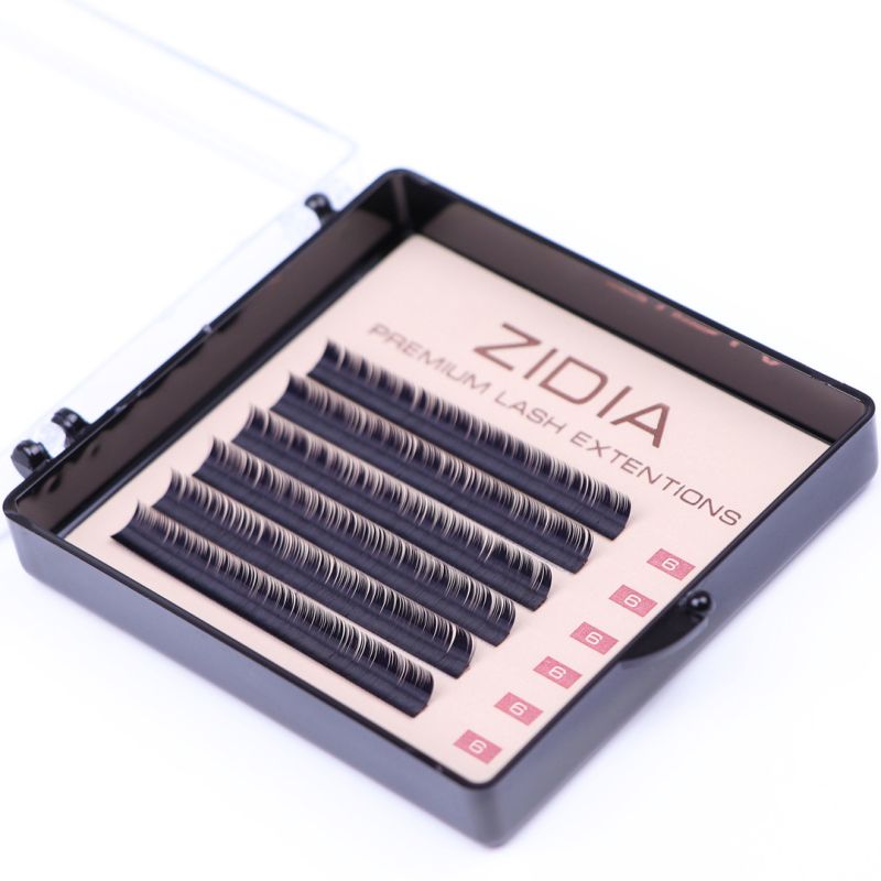 ZIDIA Premium Lash Extensions - ресницы для наращивания (6 лент) D0,07 х 6 мм