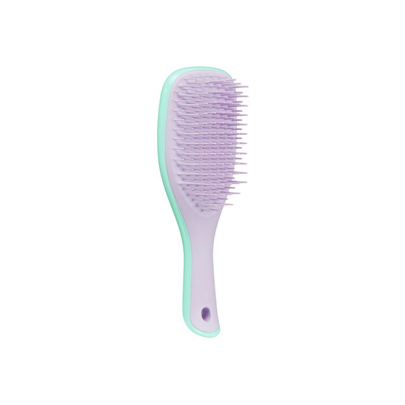 Tangle Teezer Hair Brush The Wet Detangler Mini Wisteria Leaf
